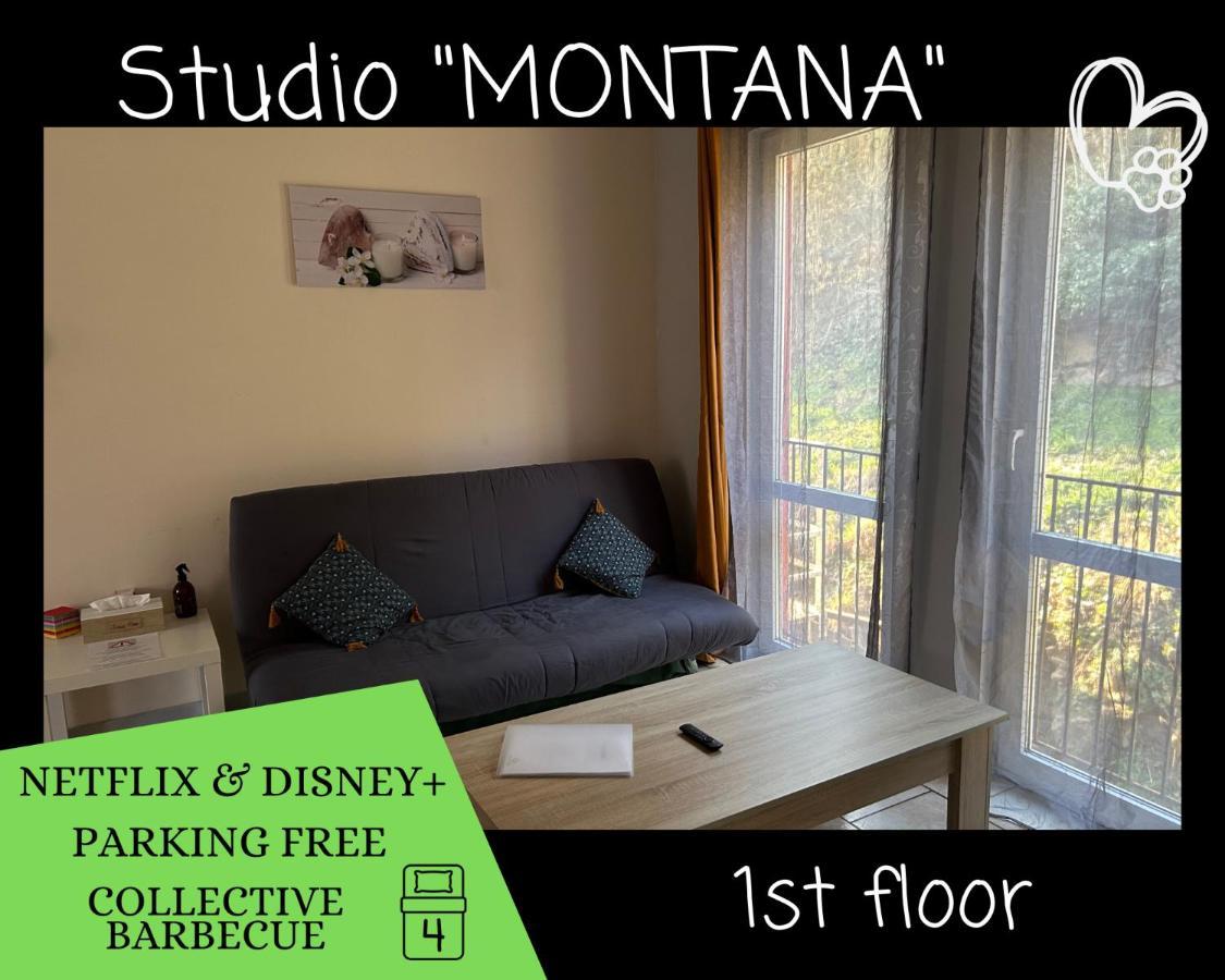 L'Arizona Dinant - Studio Montana - Barbecue, Free Parking, Dog Ok Zewnętrze zdjęcie